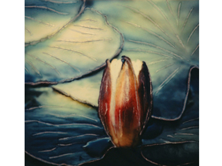 Lotus Bud by Marcia Duff