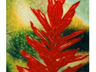 Molokai Red Ginger by Marcia Duff