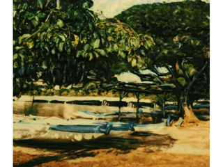 Blue Ala Wai Canoes by Marcia Duff