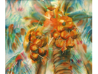 Coconuts by Wendy Ladybird Hickey