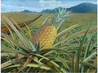 Pineapple Road by Rosemary Bak