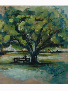 Bench at Saint Thomas Square by Cynthia  Cooke 