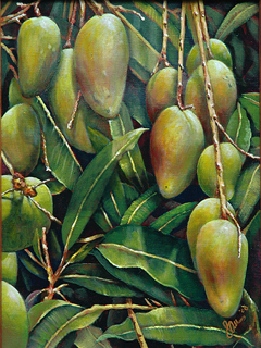 Mango by Sandra Blazel