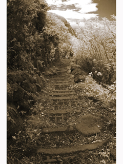 Kalaupapa Trail and Cliff by Joan  Cooke