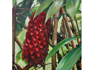 Ula Ahi by Sandra Blazel