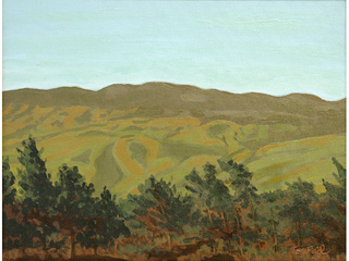 Kohala Mountains by Terry Field