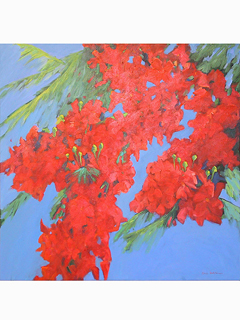 Poinciana Tree by Linda Hutchinson