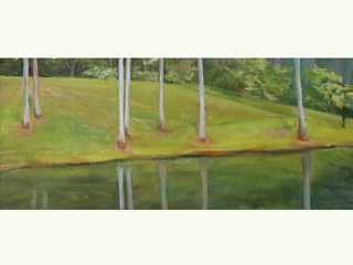 Ho'omaluhia Reflection by Sharon Sussman