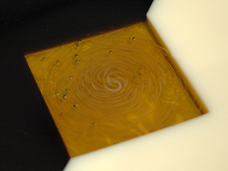 Bulls Eye Sushi Plate by Jane Raissle (View 2)