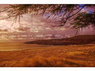 Kawakiu Beach by Joan  Cooke