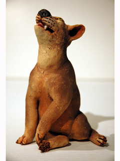 Poi Dog by Esther Shimazu