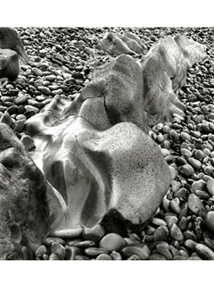 Rock by Chang-Jin Lee