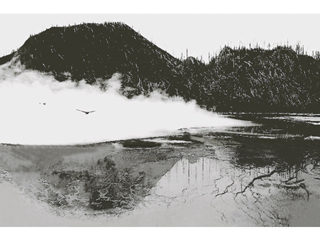 The Yellowstone National Park by Chang-Jin Lee