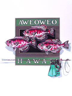 Aweoweo by Nick  Black