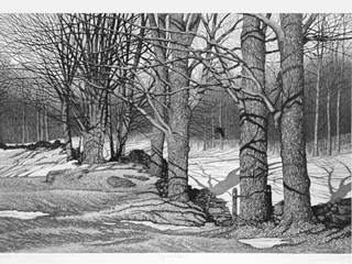 Spring Thaw - AP by Carol Collette