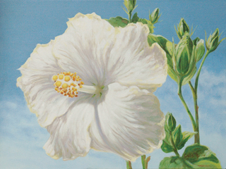 Fresh Cream by Carol Collette