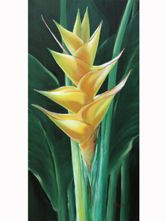 Heliconia by Carol Collette