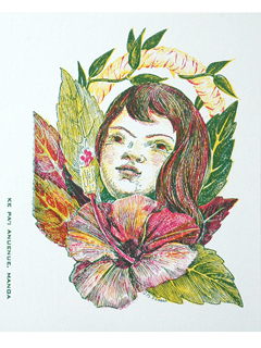 Hibiscus Angel Looking Up by Juliette May Fraser (1883-1983)