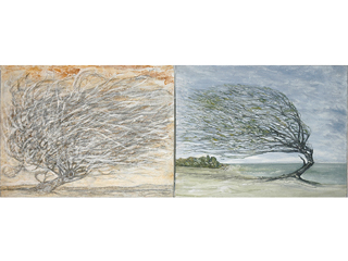Leeward/ Windward by Mac James