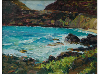 Makapuu Surf by Fred  Salmon