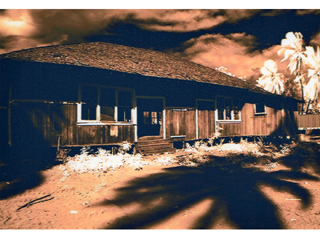 Old Building in the Grove by Joan  Cooke