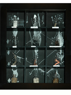 Figure 52, 12 Steps by Dorothy Faison