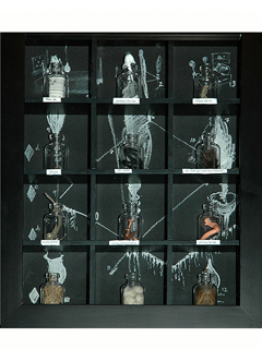 Figure 52, 12 Steps by Dorothy Faison (View 2)