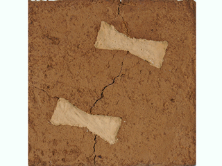 Butterfly Patch by George Newton