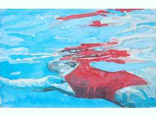 Suspencion Study II by Carol Bennett
