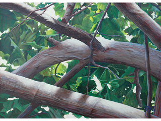 Kukui Wana'ao by Sandra Blazel