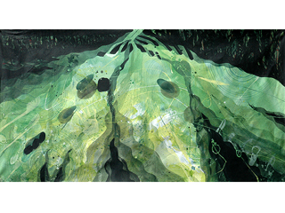 Manoa Eve II by Curt Ginther