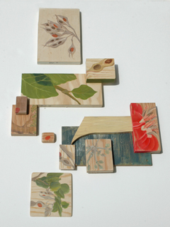 Wiliwili Series 1 by Roxanne Chasle