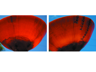 Post Nuclear Vessel by Ron Kent 1931-2018) (View 3)