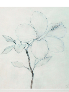 White Hibiscus by Mari Kuramochi