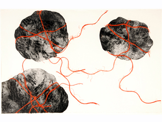 Ties Don't Bind II by Barbara Okamoto
