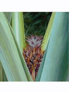 Baby Pineapple by Pati O'Neal