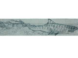 Tiger By the Tail by Mac James