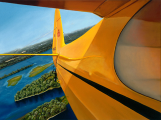 Cub Over  by Pati O'Neal