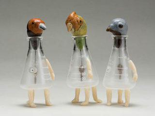 Passenger Pigeon by May Izumi (View 2)