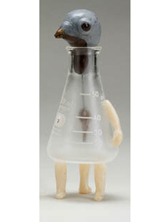 Passenger Pigeon by May Izumi