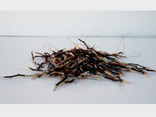 Prayer Darts: Hailing Mary by Barbara Okamoto