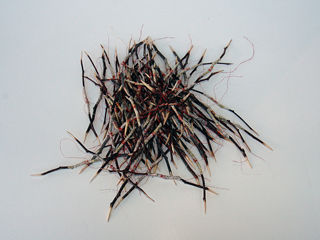 Prayer Darts: Hailing Mary by Barbara Okamoto (View 2)