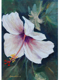 Hibiscus #1 by Toni Martin 