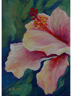 Hibiscus #2 by Toni Martin 