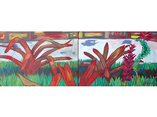 Bromeliad by Anthony  Mendivil
