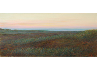 Lanai Morning #1 by Victor  Gao