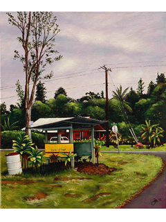 Poho'iki/Pahoa/Hilo-7:15 a.m. by Sandra Blazel