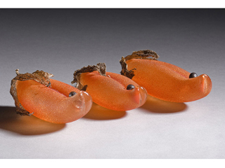 (3 Podlings) by Bernice Akamine (1949 -2024) (View 2)