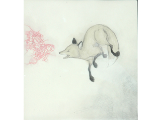 Nice Fox #1 by Jennifer Callejo