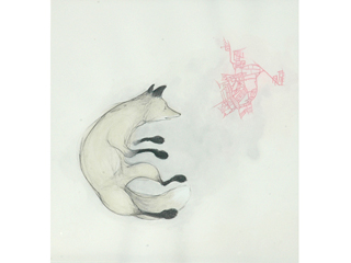 Nice Fox 3 by Jennifer Callejo